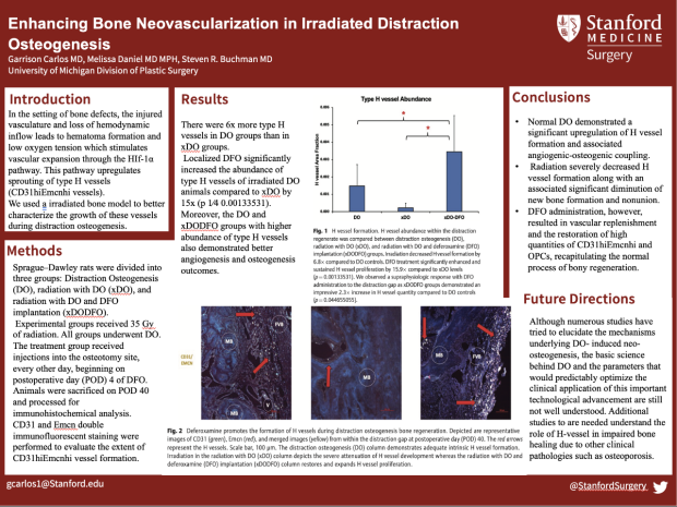 Poster: Enhancing Bone Neovascularization in Irradiated Distraction Osteogenesis 